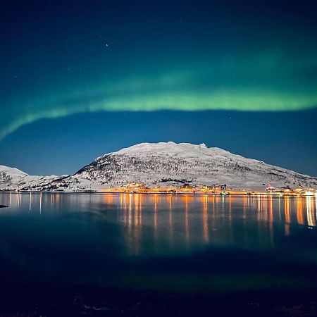 Kvaloya Apartment By The Sea Tromsø Dış mekan fotoğraf