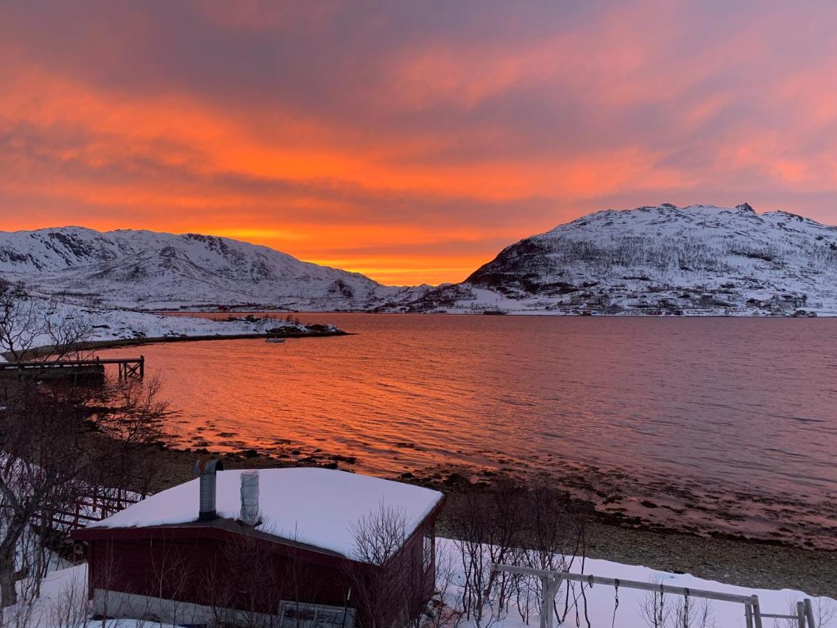 Kvaloya Apartment By The Sea Tromsø Dış mekan fotoğraf