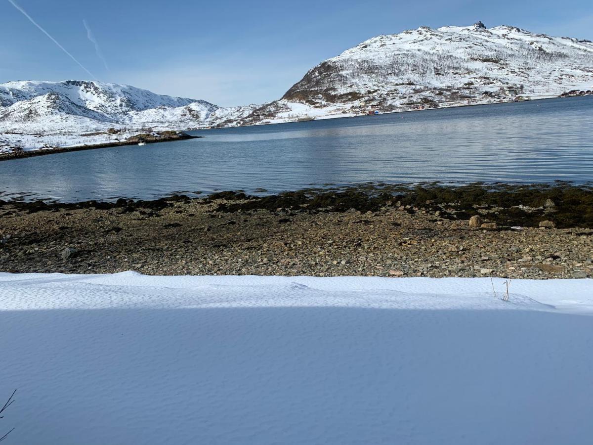 Kvaloya Apartment By The Sea Tromsø Dış mekan fotoğraf